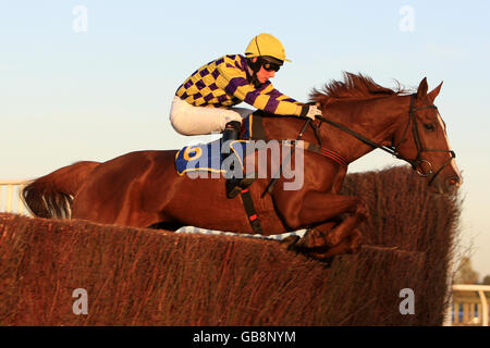 Les courses de chevaux - Fakenham Racecourse Banque D'Images