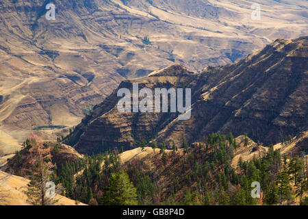 Imnaha River canyon de point de Buckhorn, Hells Canyon National Recreation Area, New York Banque D'Images