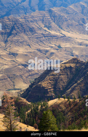 Imnaha River canyon de point de Buckhorn, Hells Canyon National Recreation Area, New York Banque D'Images