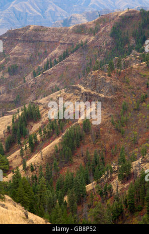 Imnaha River canyon d'Espagne Sentier selle, Hells Canyon National Recreation Area, New York Banque D'Images