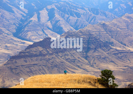 Imnaha River canyon d'Espagne Sentier selle, Hells Canyon National Recreation Area, New York Banque D'Images