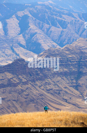 Imnaha River canyon d'Espagne Sentier selle, Hells Canyon National Recreation Area, New York Banque D'Images