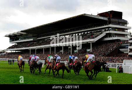 Une vue générale des coureurs et des cavaliers passant le stand pendant l'Open à Cheltenham Racecourse. Banque D'Images