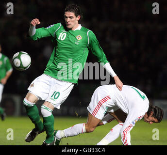 Football - National International friendly - Irlande du Nord v Hongrie - Windsor Park.Kyle Laverty, de l'Irlande du Nord, bat Peter Halmo, de la Hongrie, lors de l'International friendly à Windsor Park, Belfast. Banque D'Images