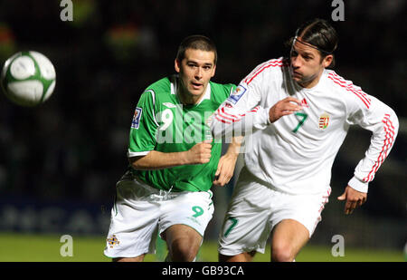 À l'échelle nationale - Football - match amical d'Irlande du Nord / Hongrie - Windsor Park Banque D'Images