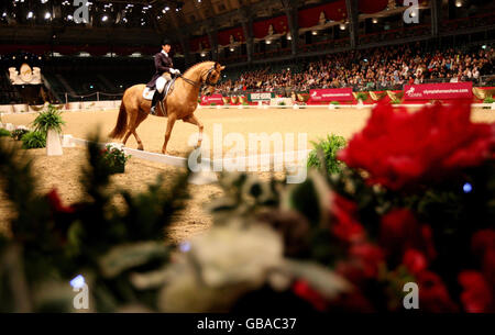 Aux États-Unis, Catherine Haddad, la circonscription de Maximus JSS participe au concours de dressage de la coupe du monde de l'IFI lors du salon international du cheval de Londres à Olympia, Londres. Banque D'Images