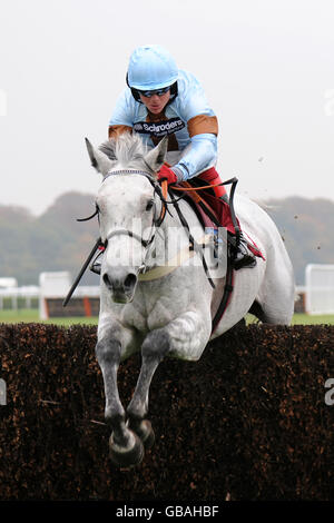 Bien-Être - Course de chevaux Raceday - Haydock Park Banque D'Images