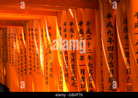 Pathway avec orange peint torii (portes) sur le célèbre sanctuaire Fushimi Inari à Kyoto, au Japon. Banque D'Images