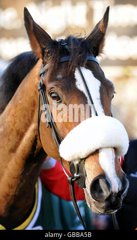 Les courses de chevaux - Stan James Festival de Noël - Kempton Park Racecourse Banque D'Images