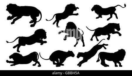 Les Lions de Silhouette. Un ensemble d'hommes et de femmes les lions à l'ossature Banque D'Images