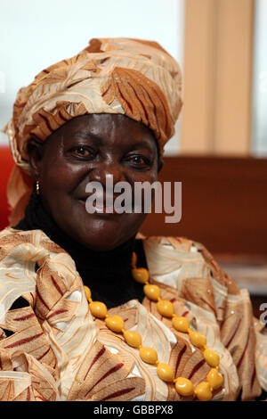 La belle-mère d'Obama inauguration de mouches Banque D'Images