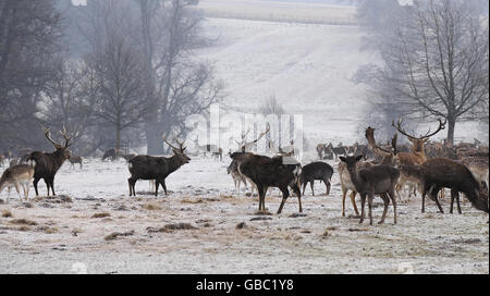 Par temps froid Banque D'Images