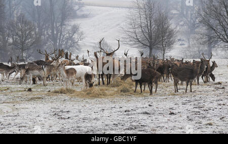 Par temps froid Banque D'Images