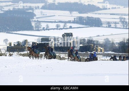 Les courses de chevaux - Chevaux Excercise à Middleham Banque D'Images