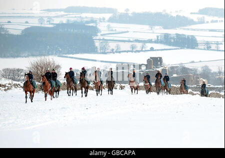 Les courses de gazon étant de nouveau abandonnées au Royaume-Uni en raison de chutes de neige abondantes, les galops de Middleham, dans le North Yorkshire, étaient occupés par des chevaux de course qui s'exerçaient dans de la neige profonde. Banque D'Images