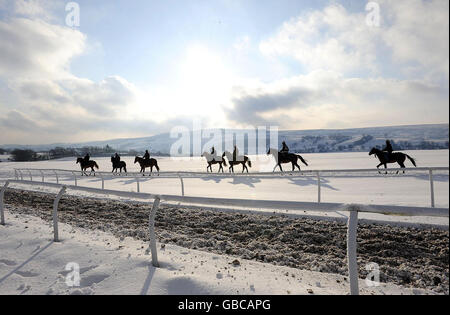 Les courses de chevaux - Chevaux Excercise à Middleham Banque D'Images