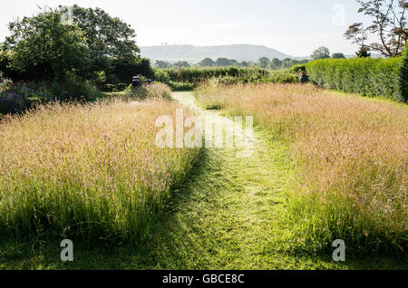 Chemin par unmown autorisé à cultiver de l'herbe à gazon et fleurs avant de couper à la fin de l'été vu peu après le lever du soleil Banque D'Images