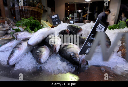 Vue générale sur le poisson en spectacle dans un restaurant Fishworks sur Marylebone High Street, Londres. Banque D'Images