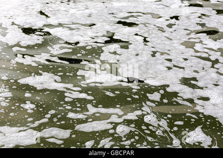 Flottant en mousse sur une surface d'eau polluée Banque D'Images