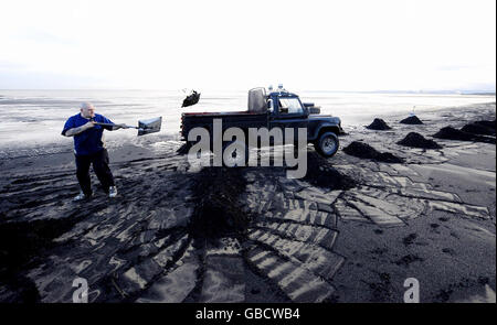 Le charbon de mer est extrait d'une plage de Hartlepool et chargé sur un camion. Plusieurs tonnes de charbon sont déversées sur les plages depuis les coutures en mer et fournissent des revenus à ceux qui sont prêts à braver les éléments. Banque D'Images