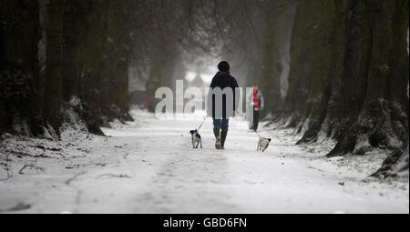 Les gens qui marchaient dans un parc Redhouse couvert de neige à Birmingham ce matin après une forte chute de neige ont frappé le Royaume-Uni. Banque D'Images