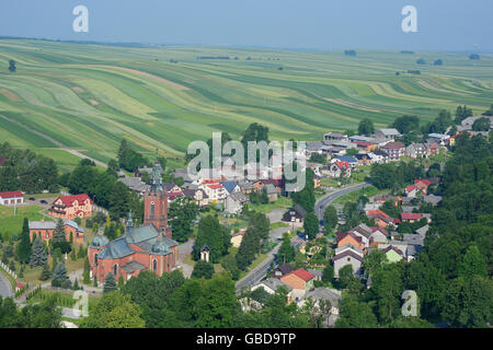 VUE AÉRIENNE.Village entouré d'un paysage de champs verts étroits.Suloszowa, région de la petite Pologne, Pologne. Banque D'Images