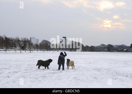 Les chiens marchent sur Southsea Common à Portsmouth alors que de fortes chutes de neige frappent le Royaume-Uni. Banque D'Images