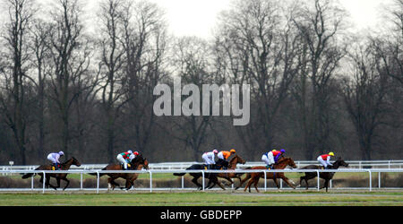 Courses hippiques - Hippodrome de Kempton Park.Premio Loco, monté par George Baker (quatrième à partir de la droite), remporte les enjeux Ladybird à l'hippodrome de Kempton Park. Banque D'Images