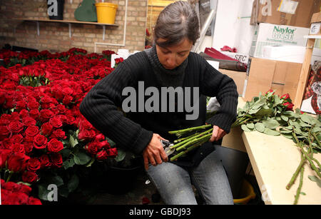 Les préparatifs pour la Saint-Valentin Banque D'Images