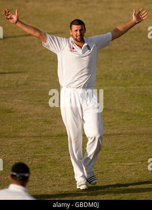 Steve Harmison, en Angleterre, célèbre le départ du capitaine indien de l'Ouest Chris Gayle lors du troisième test au terrain de jeux d'Antigua, à St Johns, Antigua. Banque D'Images