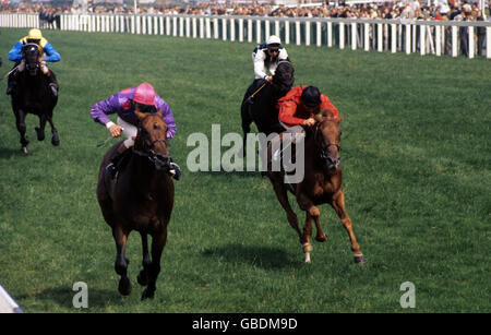 Les courses de chevaux - le roi George VI et la reine Elizabeth Stakes - Ascot - 1972 Banque D'Images