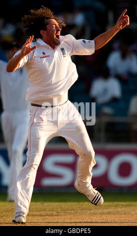 Le Ryan Sidebottom d'Angleterre appelle sans succès à la cricket de Ramnaresh Sarwan des Antilles lors du premier test à Sabina Park, Kingston, Jamaïque. Banque D'Images