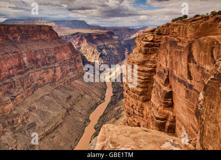 Grand Canyon de Toroweap Point à North Rim, 1000 mètres au-dessus du fleuve Colorado, Arizona, USA Banque D'Images