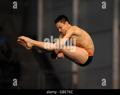 Tom Daley en Grande-Bretagne pendant les championnats nationaux senior Grande-Bretagne et ASA à Ponds Forge, Sheffield. Banque D'Images