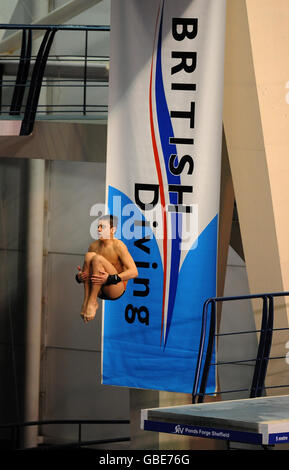 Tom Daley en Grande-Bretagne pendant les championnats nationaux senior Grande-Bretagne et ASA à Ponds Forge, Sheffield. Banque D'Images