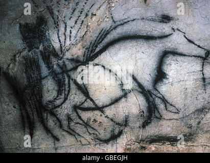 préhistoire, peinture-grotte, aurochs, Pech Merle, France, 20000 VCHR., historique, historique, dessin-grotte, dessin, peinture, pétrographe, art, grotte, roche, rochers, urus, bos primigenius, animaux, préhistorique, âge de pierre, droits additionnels-Clearences-non disponible Banque D'Images