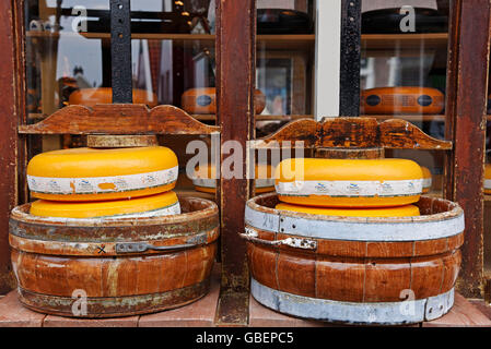 Roues de fromage, fromage, fromagerie, Edamer, fromage, Volendam, Edam, Hollande du Nord, Pays-Bas / Hollande Banque D'Images