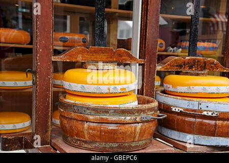 Roues de fromage, fromage, fromagerie, Edamer, fromage, Volendam, Edam, Hollande du Nord, Pays-Bas / Hollande Banque D'Images