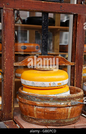 Roues de fromage, fromage, fromagerie, Edamer, fromage, Volendam, Edam, Hollande du Nord, Pays-Bas / Hollande Banque D'Images