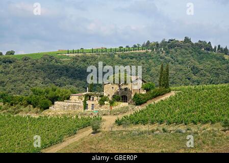 Maison de campagne, vignes, paysage, Radda in Chianti, Province de Sienne, Toscane, Italie Banque D'Images