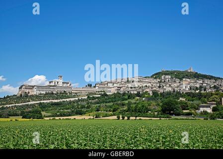 San Francesco, basilique, église, assise, Province de Pérouse, Ombrie, Italie Banque D'Images