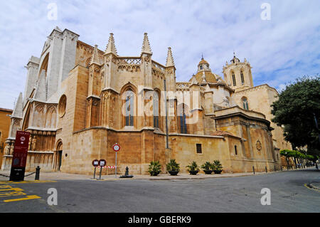 Cathédrale Santa Maria, la place de la Seu, Tarragone, Catalogne, Espagne Banque D'Images