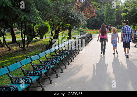 Des bancs de parc, Parc de Cismigiu, Bucarest, Roumanie Banque D'Images