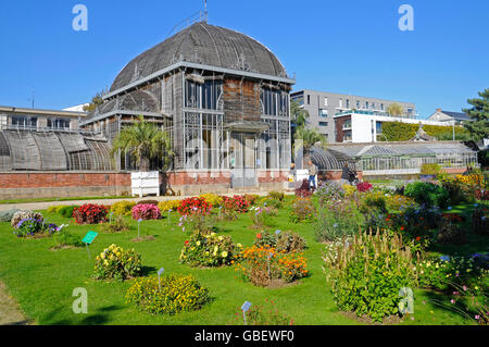 Jardin des Plantes, jardin botanique, Nantes, Departement Loire-Atlantique, Pays de la Loire, France Banque D'Images