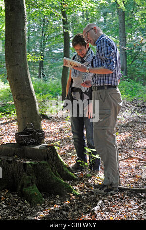 La collecte de champignons, couple d'identification de champignons, champignons guidebook, Iserlohn, région du Sauerland, Rhénanie du Nord-Westphalie, Allemagne / multiplication Banque D'Images