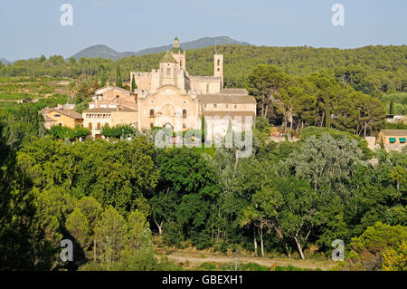 Monestir de Santa Maria de Santes Creus, abbaye cistercienne, monastère, Santes Creus, province Tarragone, Catalogne, Espagne Banque D'Images