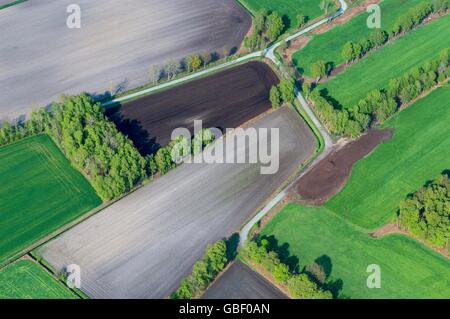 Lohne, Landkreis Vechta, Niedersachsen, Deutschland Banque D'Images