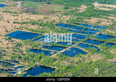 Steinfelder Moor, Steinfeld, Landkreis Vechta, Niedersachsen, Deutschland Banque D'Images