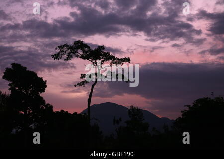 Le paysage avec près du village de Moubisse dans le sud du Timor oriental en southeastasia. Banque D'Images