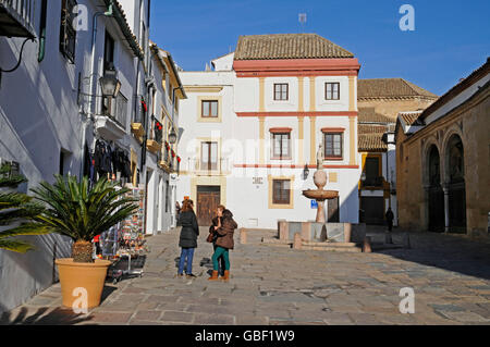 Fontaine, la Plaza del Potro, Carré, Musée des beaux-arts, Cordoue, province de Cordoue, Andalousie, Espagne, Europe Banque D'Images